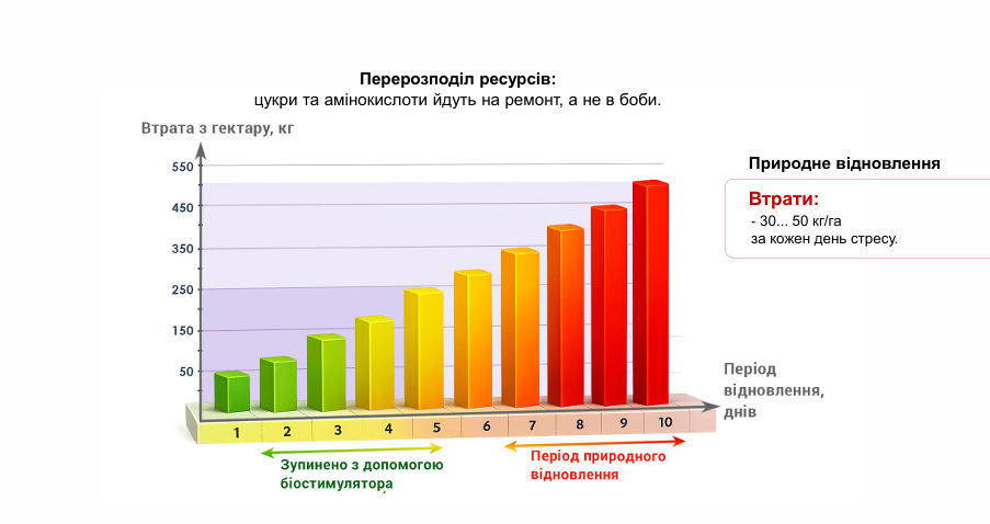 Економіка втрат та відновлення