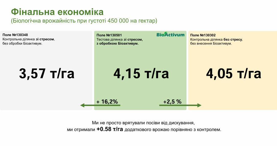 Фінальна економіка