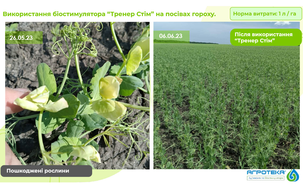 результат ефективності біостимулятора тренер стім