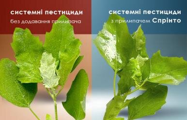 Системний пестицид на рослини з прилипачем Спрінто