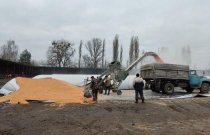 закладання кукурудзи у рукава для зерна