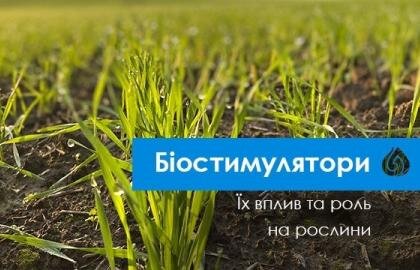 Вплив біостимуляторів на рослини