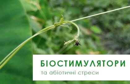 біостимулятори та абіотичні стреси