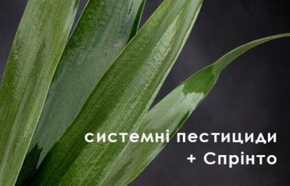 прилипач спрінто для системних пестицидів агротека