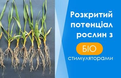 Випробовування біостимуляторів Агротека