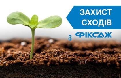 Захист сходів рослин прилипач фіксаж