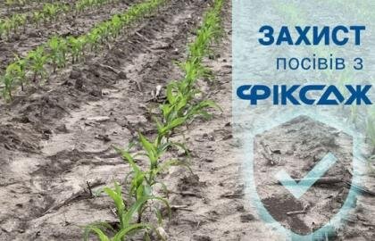 захист сходів рослин з прилипачем фіксаж