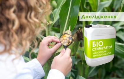 дослідження біостимуляторів на основі амінокислот на кукурудзі