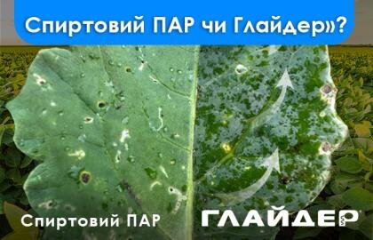 Спиртовий ПАР чи Глайдер?