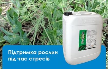Підтримка рослин під час стресів Тренер стім