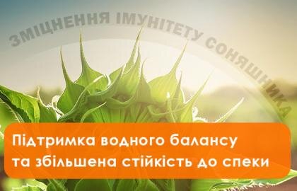 Захист соняшника від аномальної спеки з "Тренер Сім"