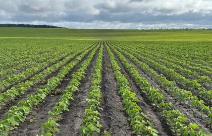 Застосування біостимуляторів для зменшення наслідків абіотичних стресів